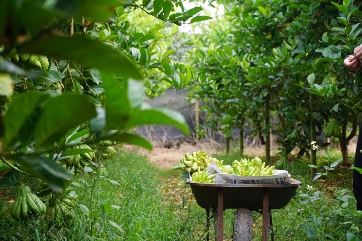 Taxi Nội Bài đi Phúc Thọ Hà Nội