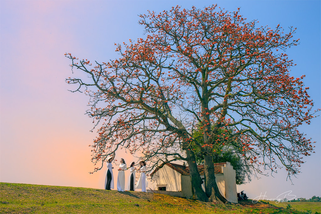 Hình ảnh có liên quan