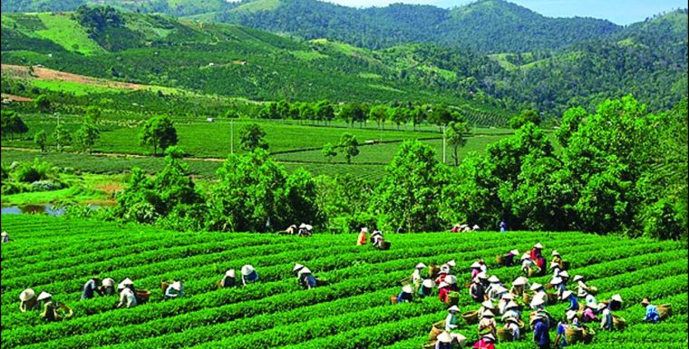 Hình ảnh có liên quan