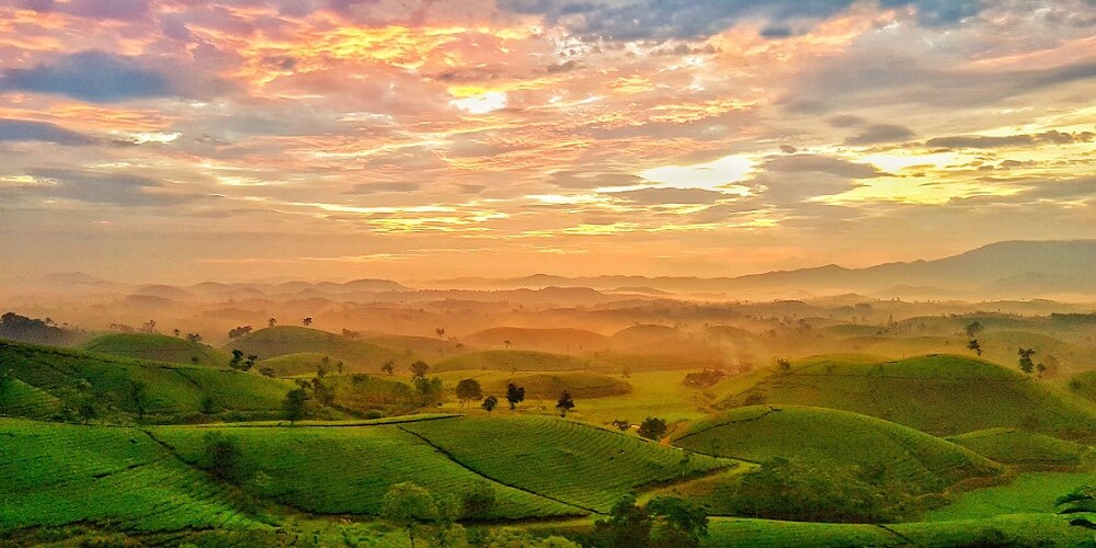 Top 5 địa điểm du lịch Ph&uacute; Thọ đ&aacute;ng để trải nghiệm - SAKOS.vn