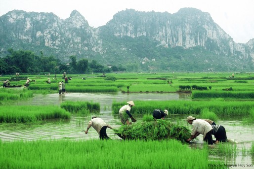 Hình ảnh có liên quan