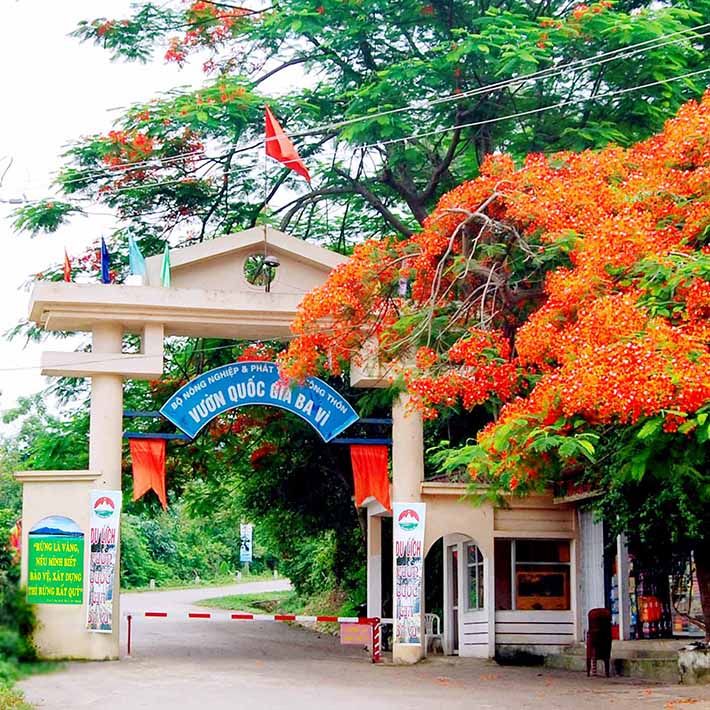 Káº¿t quáº£ hÃ¬nh áº£nh cho vuon quoc gia ba vi