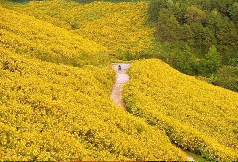 du lịch vườn quốc gia ba vì hà nội