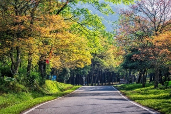 Taxi Nội Bài đi Ba vì Giá rẻ